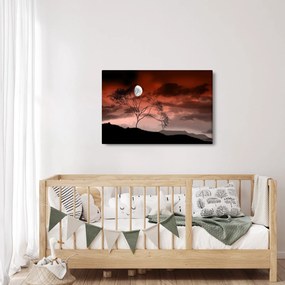 Obraz - Mesiac osvetľujúce noc (90x60 cm)