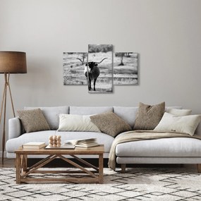Obraz - Krava, čiernobiela (90x60 cm)