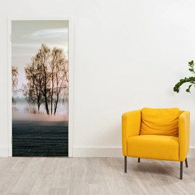Fototapeta na dvere - Ranná sychravosť (95x205cm)