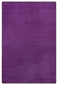 Tmavofialový koberec 160x240 cm Fancy – Hanse Home