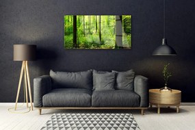 Skleneny obraz Les zeleň stromy príroda 140x70 cm