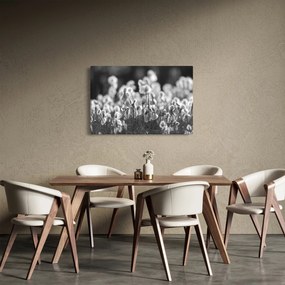 Obraz - Letná lúka (90x60 cm)
