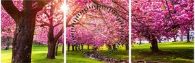 Obraz rozkvitnutých čerešní, Hurd Park, Dover, New Jersey (s hodinami) (90x30 cm)