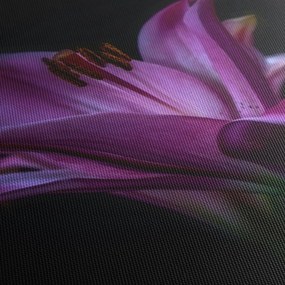 Obraz ľalia (90x60 cm)