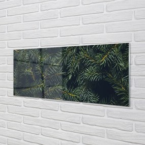 Obraz na akrylátovom skle Vianočný strom vetvičky 120x60 cm