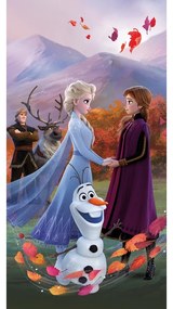 Bavlnená detská osuška 70x140 cm Frozen "Wind" – Jerry Fabrics