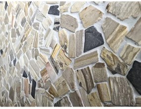 Mozaika z prírodného kameňa brunch/ciot mix wood stone fossil