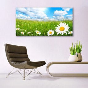 Obraz na akrylátovom skle Sedmokráska tráva príroda 120x60 cm