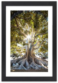 Gario Plagát Veľký exotický strom Farba rámu: Bez rámu, Rozmery: 70 x 100 cm