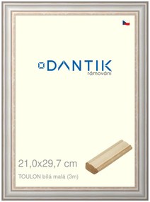 DANTIK rám na obraz 21x29,7 | TOULON bílá malá (Sklo Čiré)
