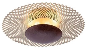 Paul Neuhaus 6551-48 - LED Stmievateľné stropné svietidlo NEVIS LED/18W/230V