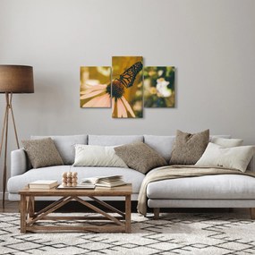Obraz motýľa na kvetine (90x60 cm)