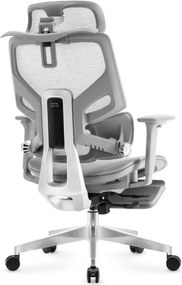 Kancelárska stolička Expert 8.7 Grey Mesh