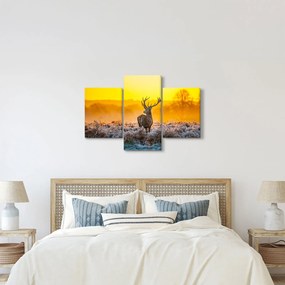 Obraz - Jeleň pri východe slnka (90x60 cm)