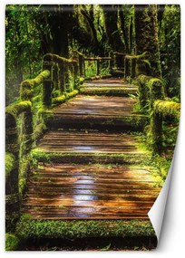 Fototapeta, Most v zeleném lese - 200x280 cm
