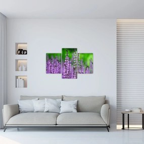 Obraz fialových lúčnych kvetov (90x60 cm)