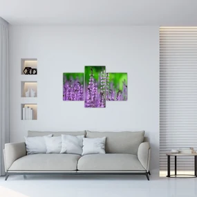 Obraz fialových lúčnych kvetov (90x60 cm)