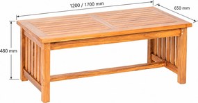 DEOKORK Teakový konferenčný stolík ROSALINE 120 × 65 × 48 cm
