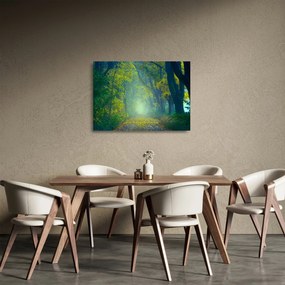 Sklenený obraz cesty lemovanej stromami (70x50 cm)