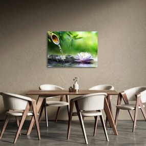 Sklenený obraz - Lotus (70x50 cm)