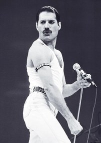 Plagát, Obraz - Freddie Mercury - Live Aid