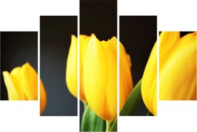Obraz tulipánov (150x105 cm)