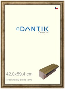 DANTIK rám na obraz 42x59,4 | TRITON bílý bronz (Plexi Čiré)