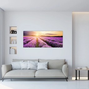 Obraz - Východ slnka v levanduľovom poli (120x50 cm)