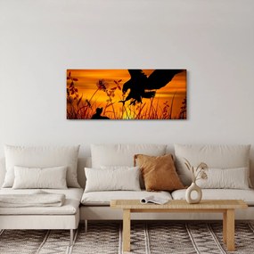 Obraz siluety dravca (120x50 cm)