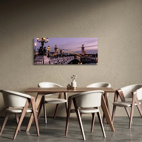 Obraz - Most Alexandra III. v Paríži (120x50 cm)