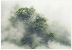 Samolepiaca fototapeta  - Hmlistá Amazónia 147x105