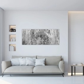Obraz - Divoká lúka (120x50 cm)