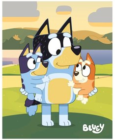 Coral fleece deka Bluey a Bingo s ockom - 120 × 150 cm