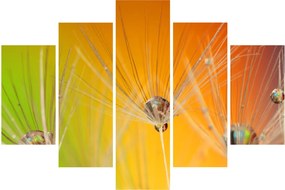 Obraz kvapiek na rastline (150x105 cm)