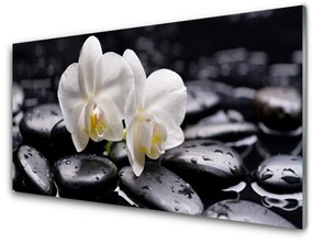 Obraz plexi Kamene zen biela orchidea 125x50 cm