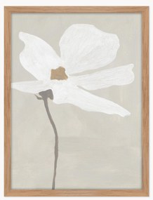 Nástenná dekorácia v ráme Nostalgia 2