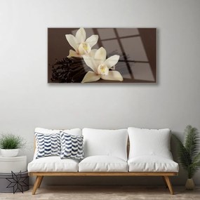 Skleneny obraz Kvety vanilky do kuchyne 140x70 cm