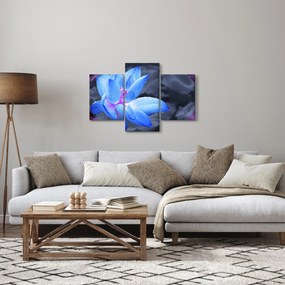 Obraz kvetu v detaile (90x60 cm)