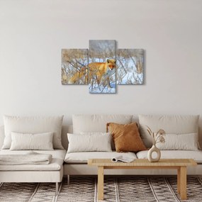 Obraz - Lišiak (90x60 cm)