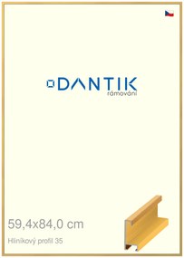 DANTIK rám na obraz 59,4x84 | ALU Dýha barevná žlutá (Plexi Čiré)