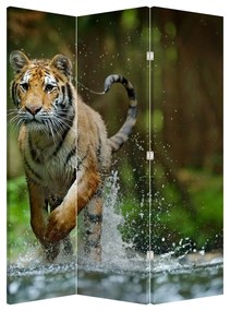 Paraván - Bežiaci tiger (126x170 cm)