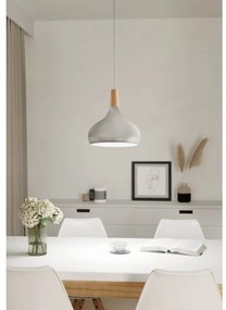 Eglo 901181-Luster na lanku SABINAR 1xE27/60W/230V pr.28cm strieborný