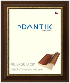 DANTIK rám na obraz 40x50 | DESCENT hnědá Au linka (Plexi Čiré)