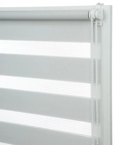 Roleta Classic DN08 68X215