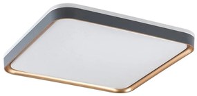 Rabalux 71029 - LED stropné svietidlo LIATRIS LED/26W/230V 3000K