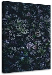 Obraz na plátně, Fialové listy Příroda - 70x100 cm