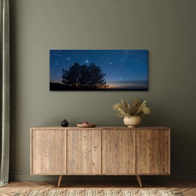 Obraz stromov v noci (120x50 cm)
