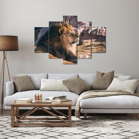 Obraz ležiaceho leva (150x105 cm)