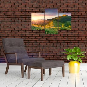 Obraz - Letná krajina (90x60 cm)