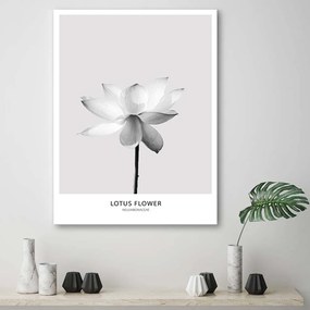 Gario Obraz na plátne Biely lotosový kvet Rozmery: 40 x 60 cm